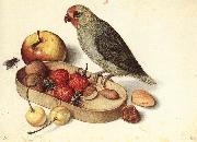 FLEGEL, Georg Still-Life with Pygmy Parrot dfg oil